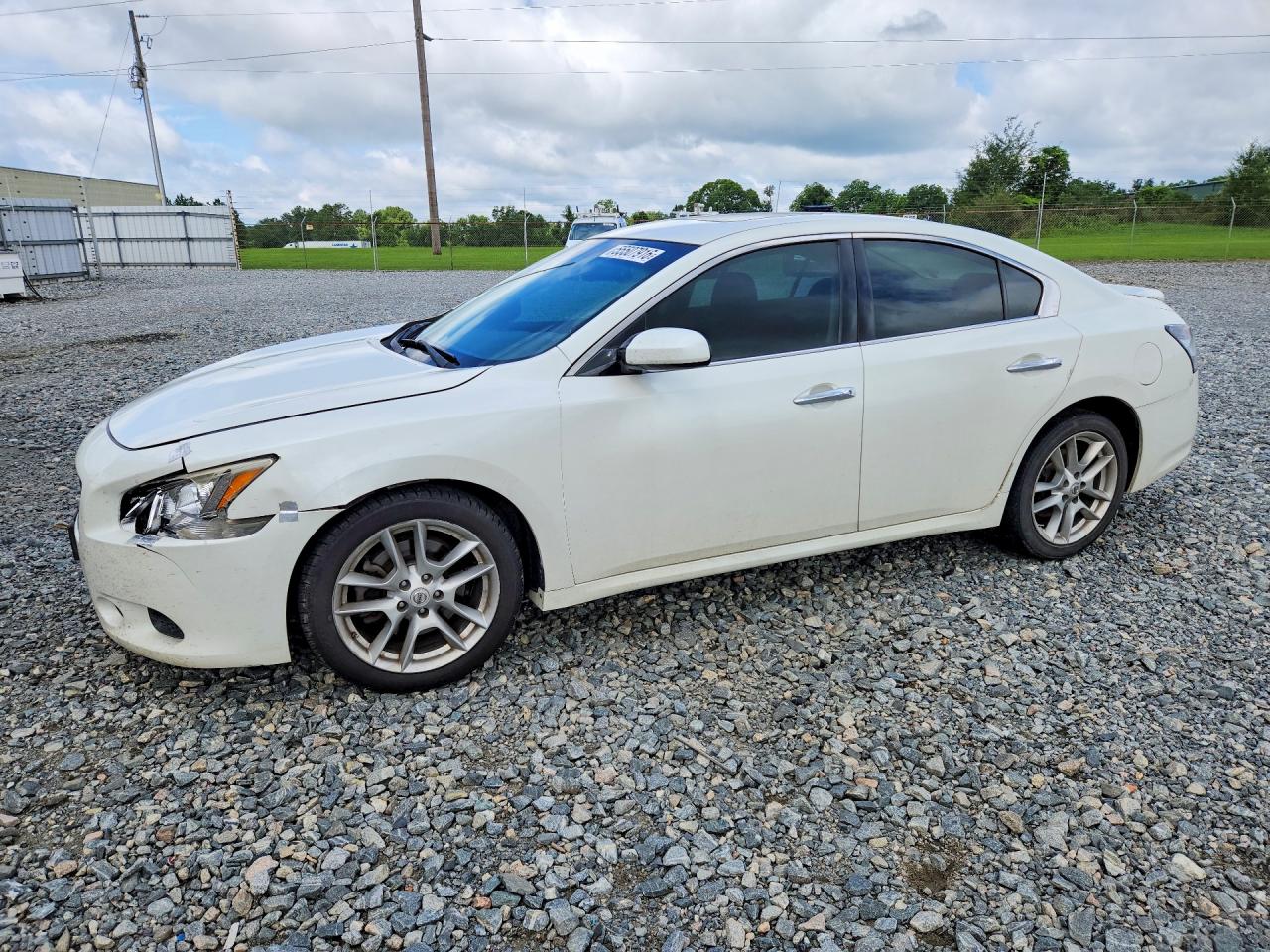 Salvage Nissan Maxima Image