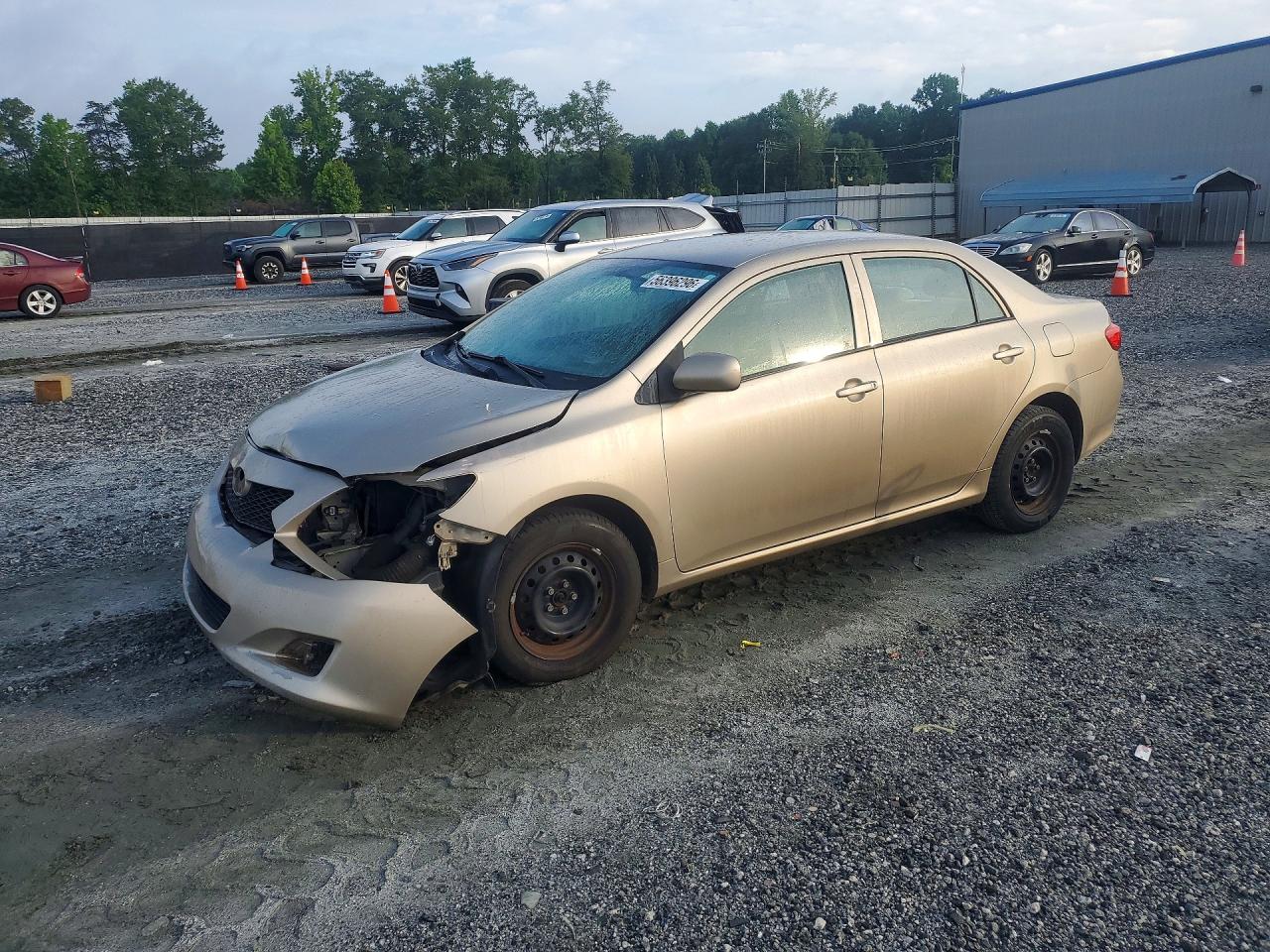 Salvage Toyota Corolla Image
