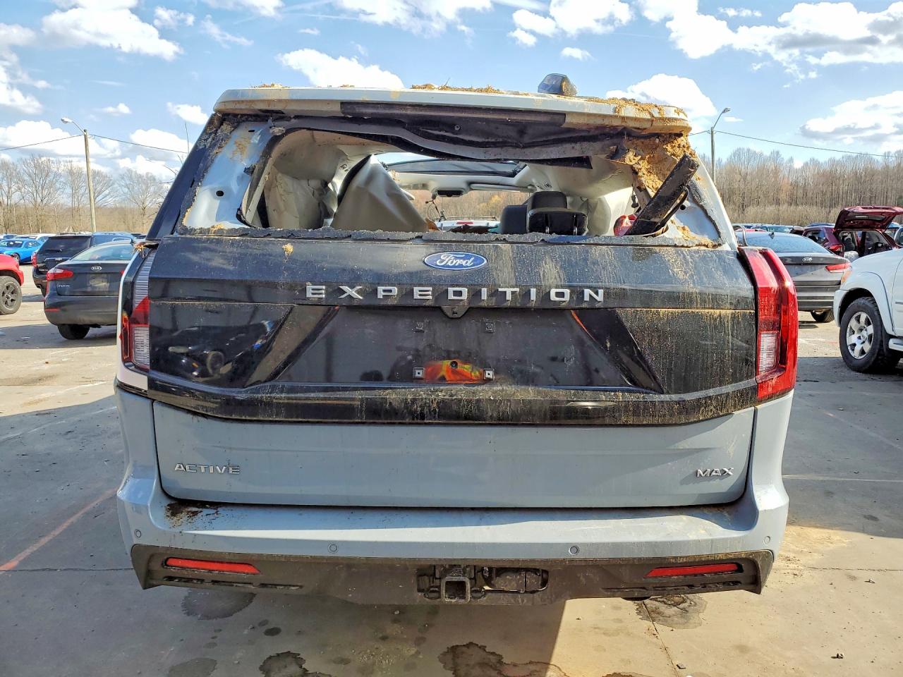Ford Expedition Max Active