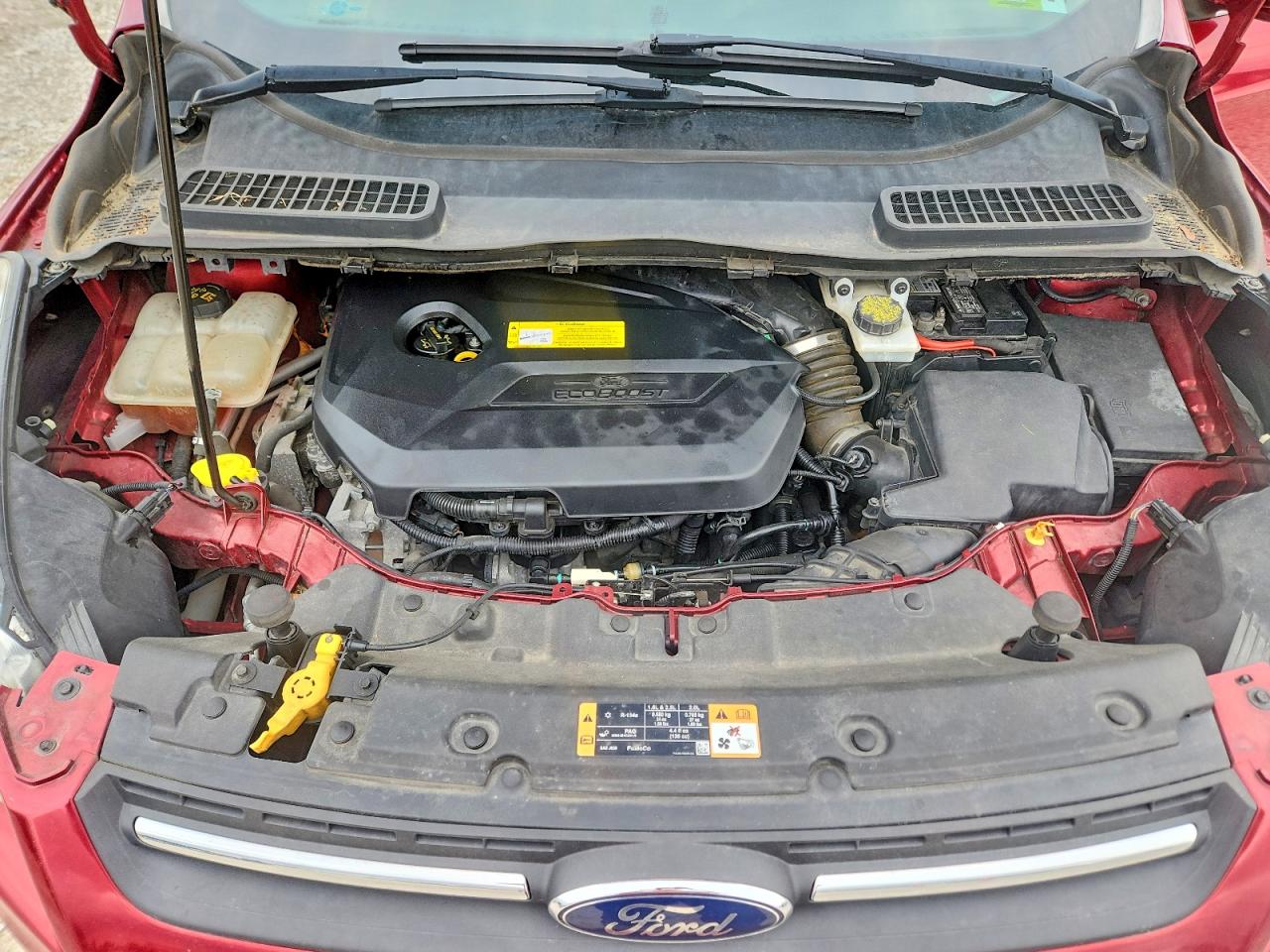 Ford Escape Se