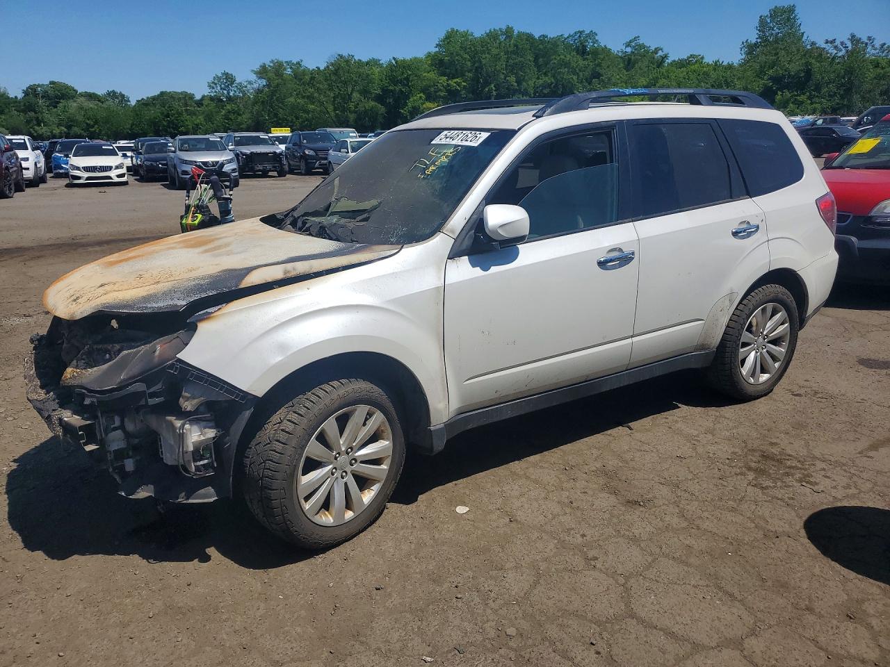 Salvage Subaru Forester Image