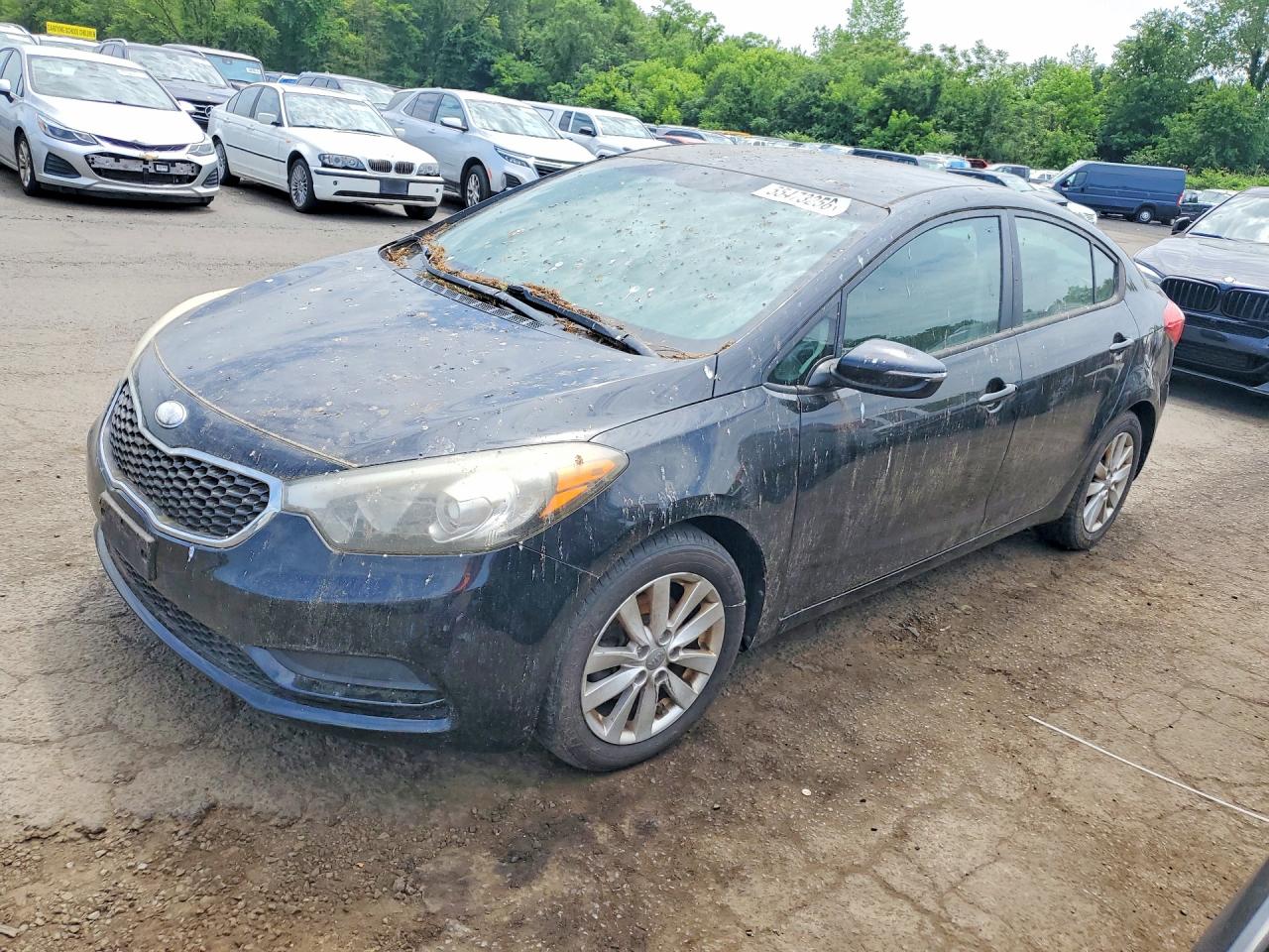 Salvage Kia Forte Image