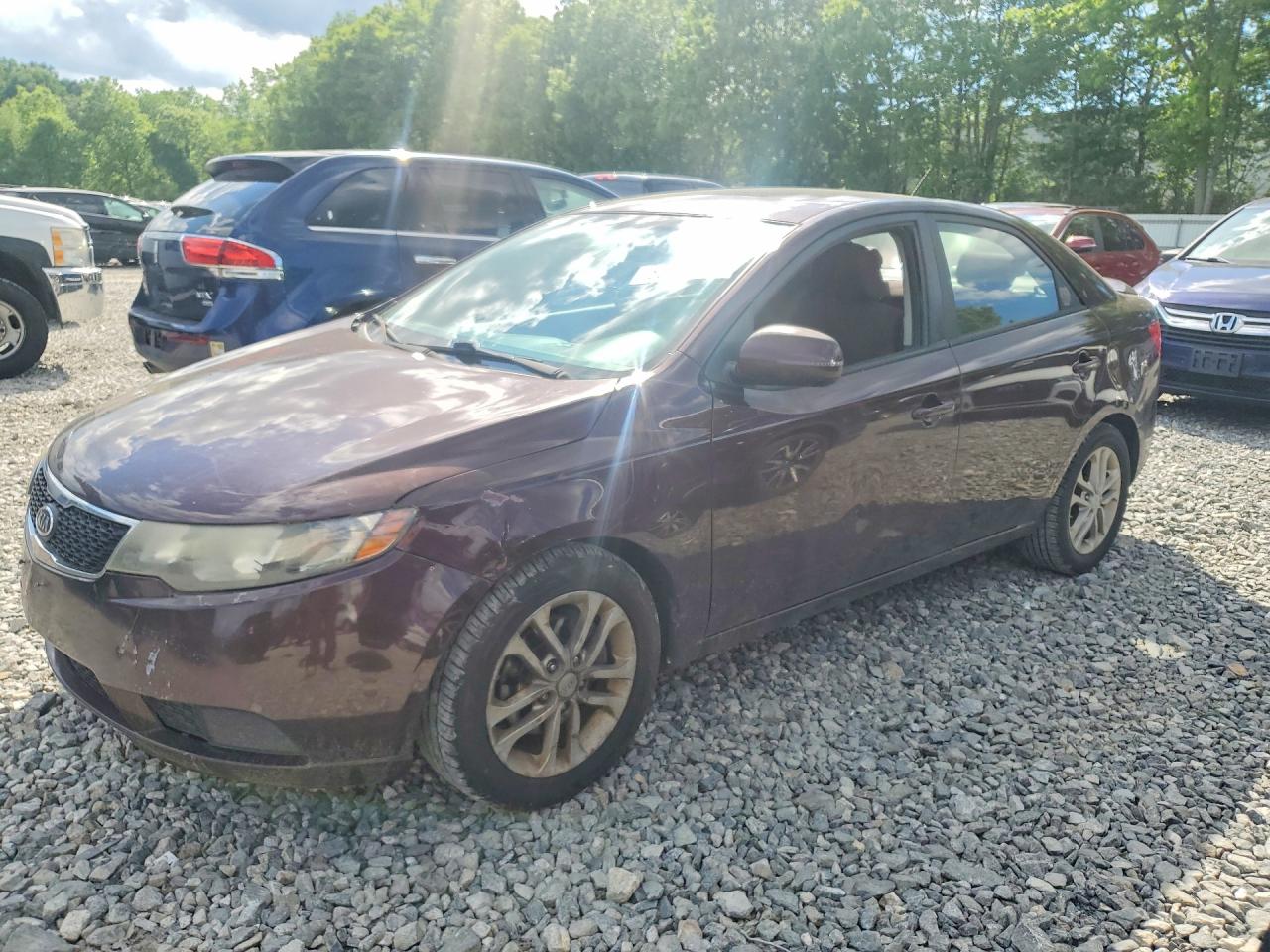 Salvage Kia Forte Image