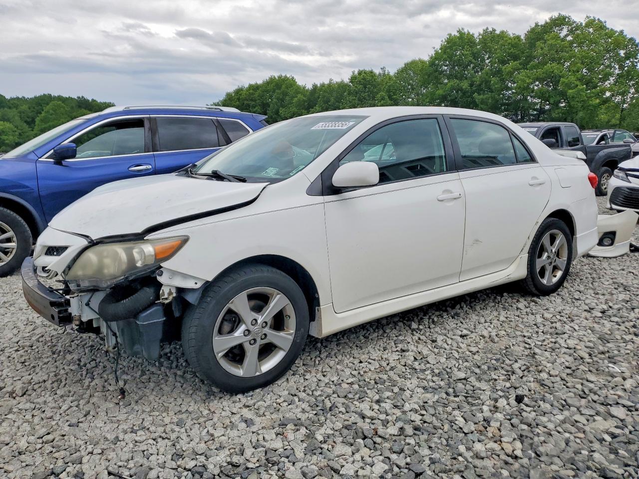 Salvage Toyota Corolla Image