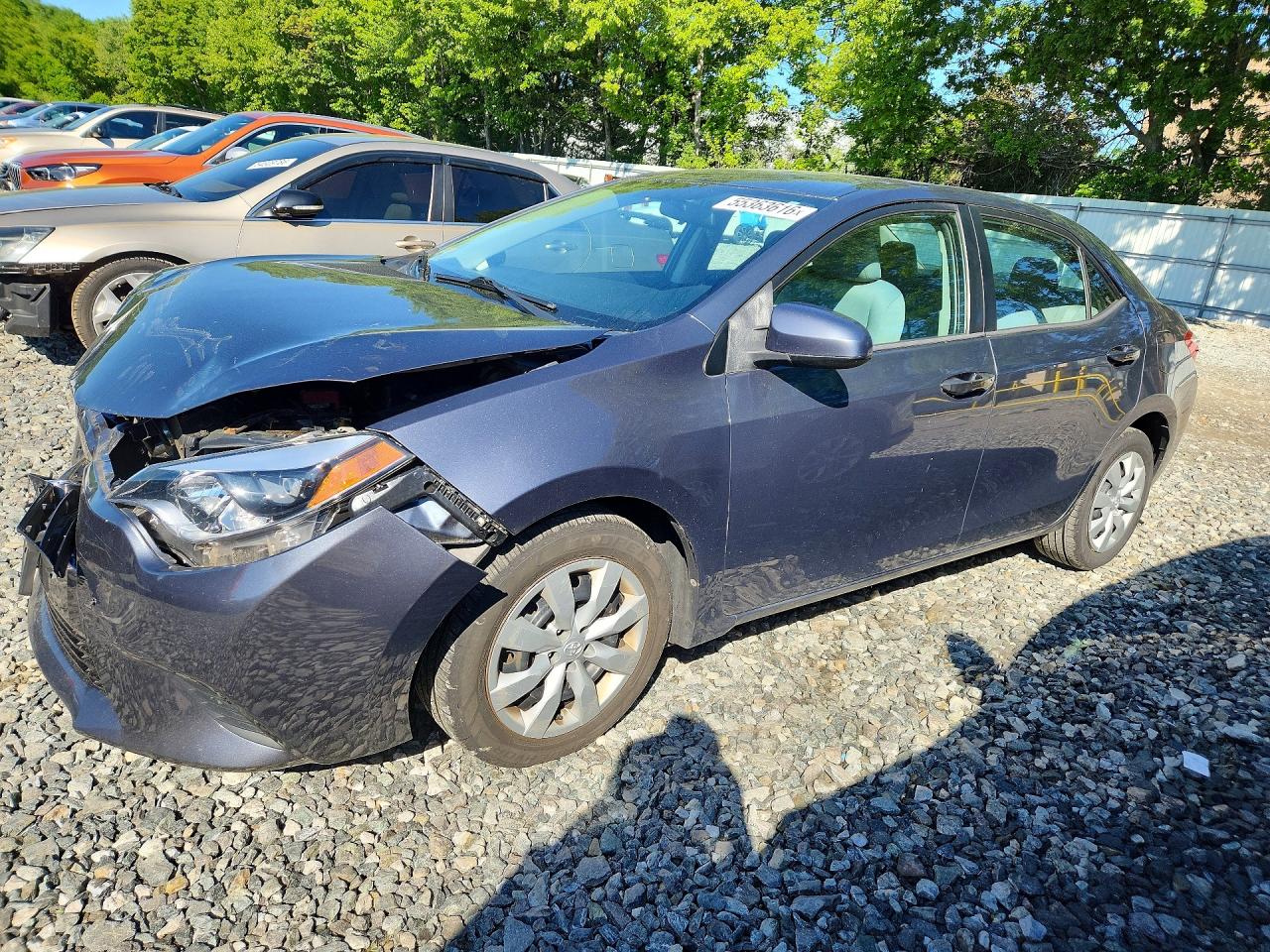 Salvage Toyota Corolla Image