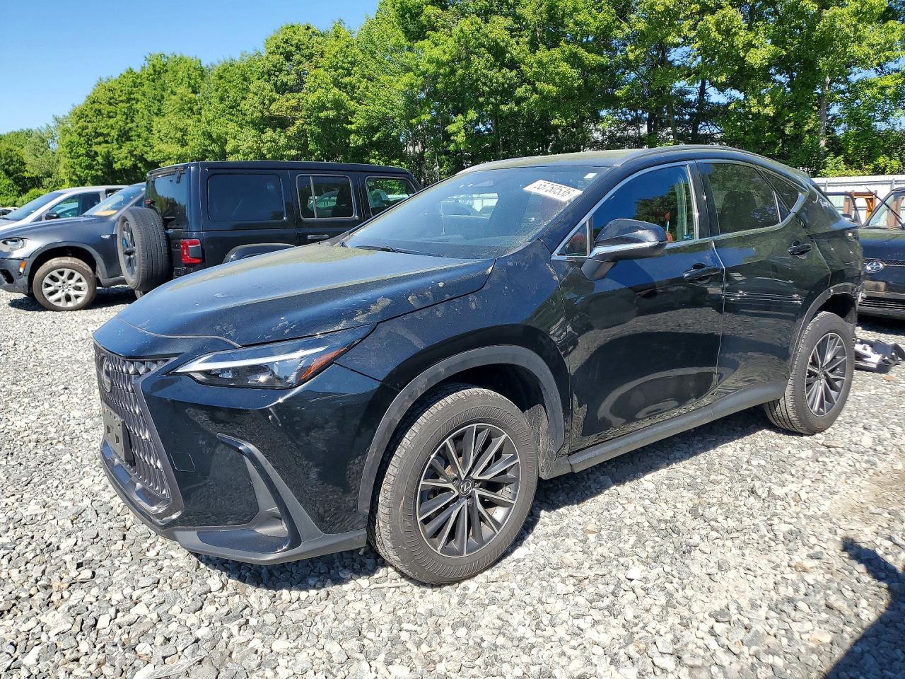 Salvage Lexus NX Image