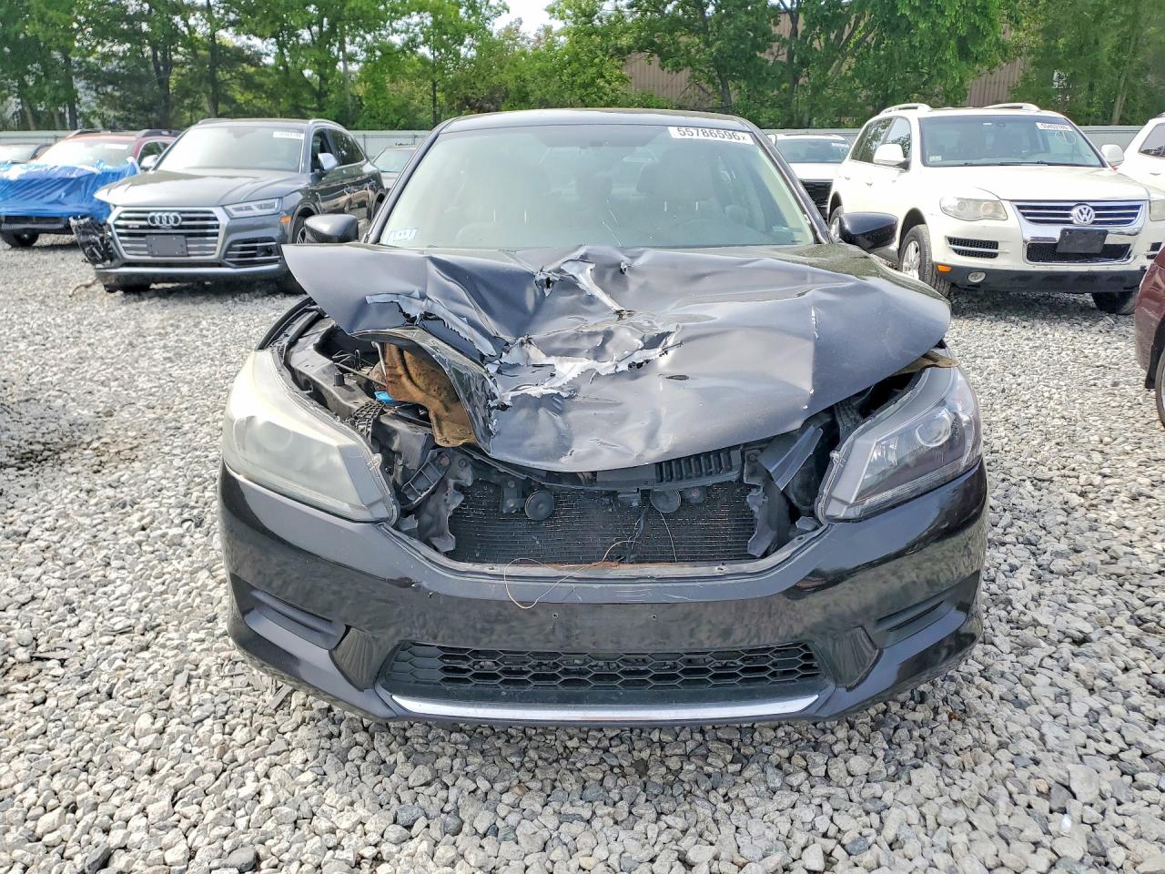 Honda Accord Lx