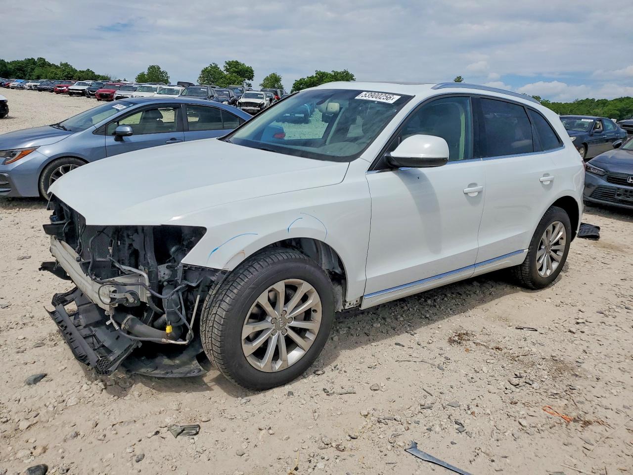 Salvage Audi Q5 Image
