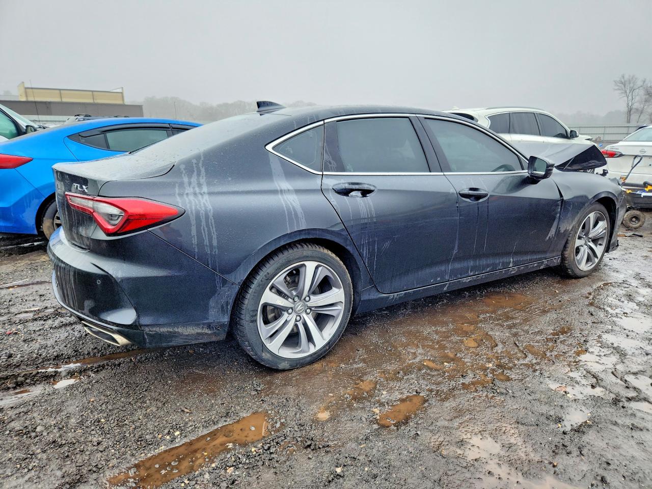 Acura TLX Advance