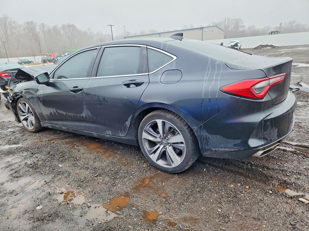 Acura TLX Advance