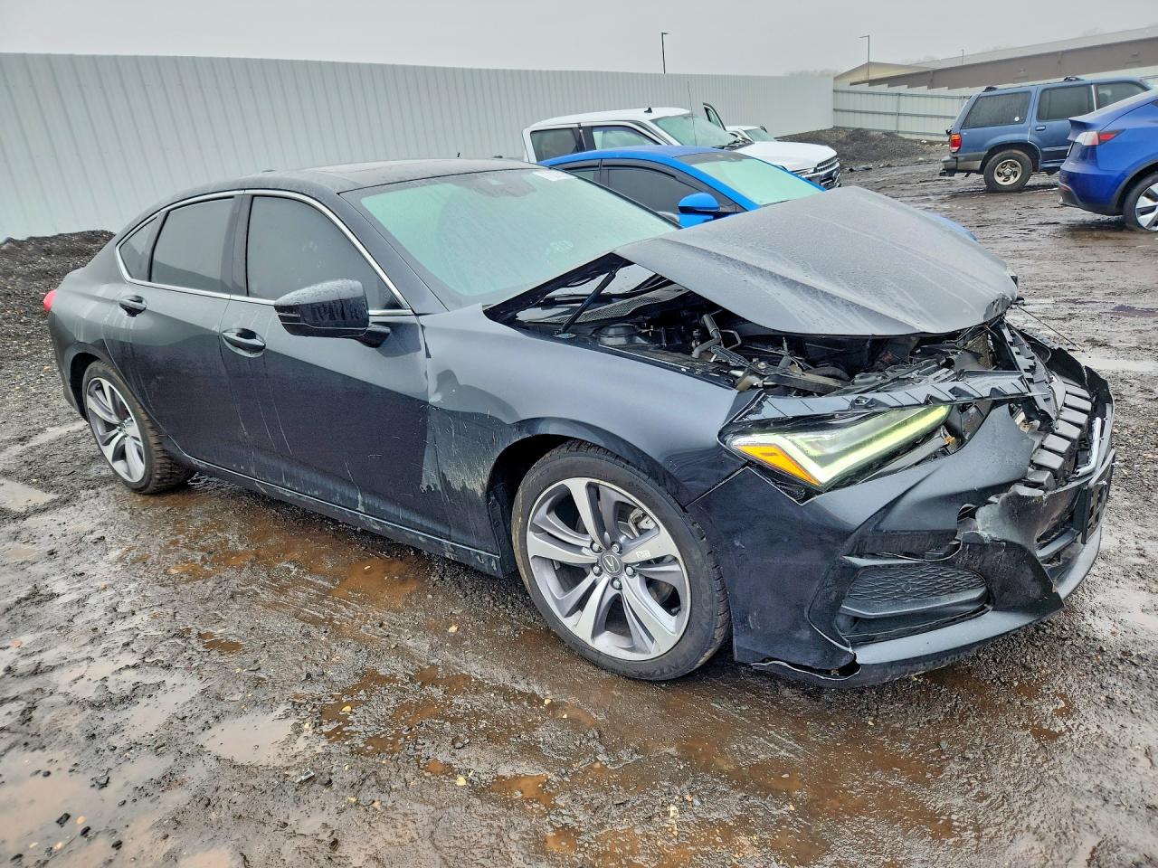 Acura TLX Advance