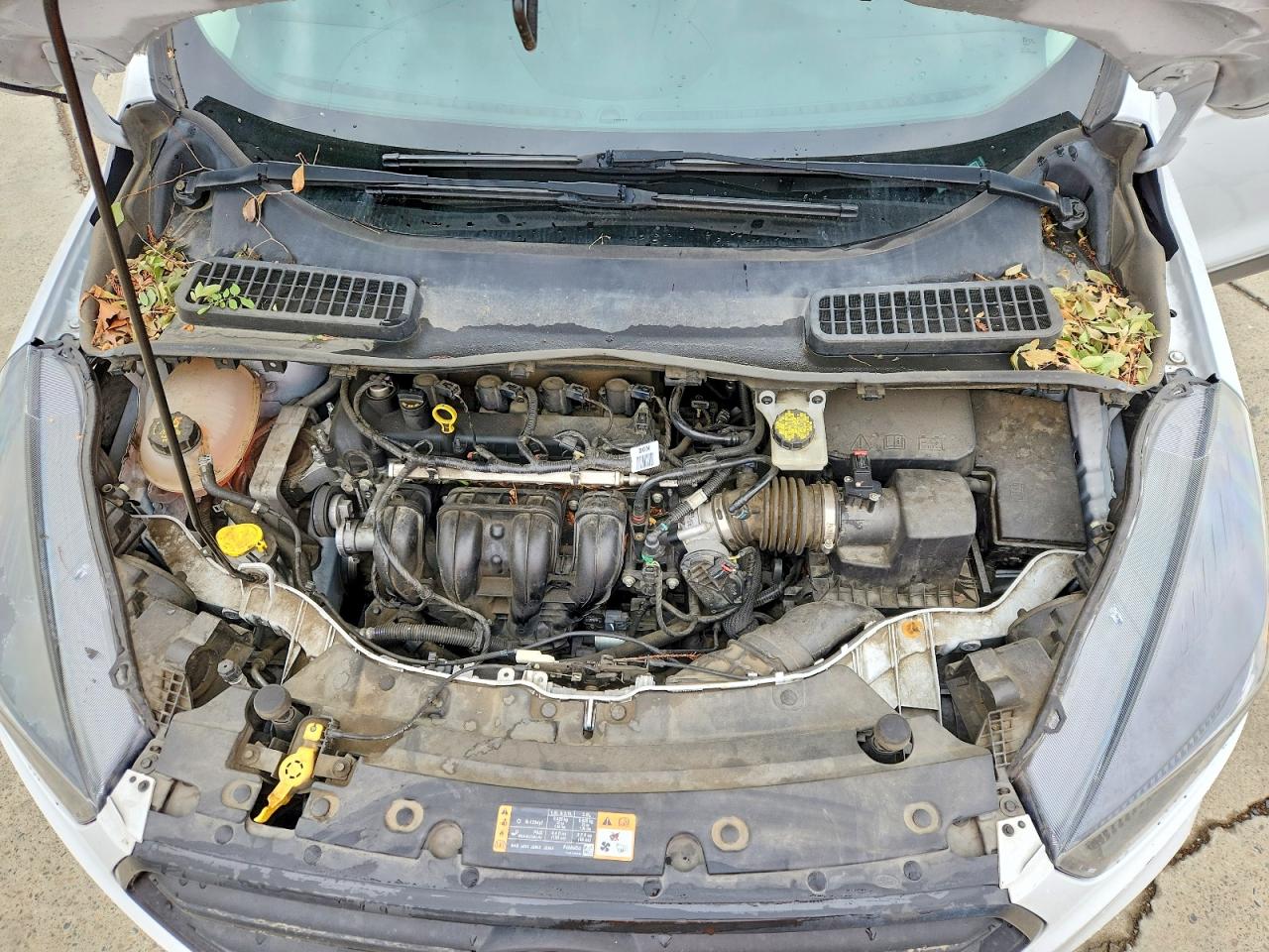 Ford Escape S