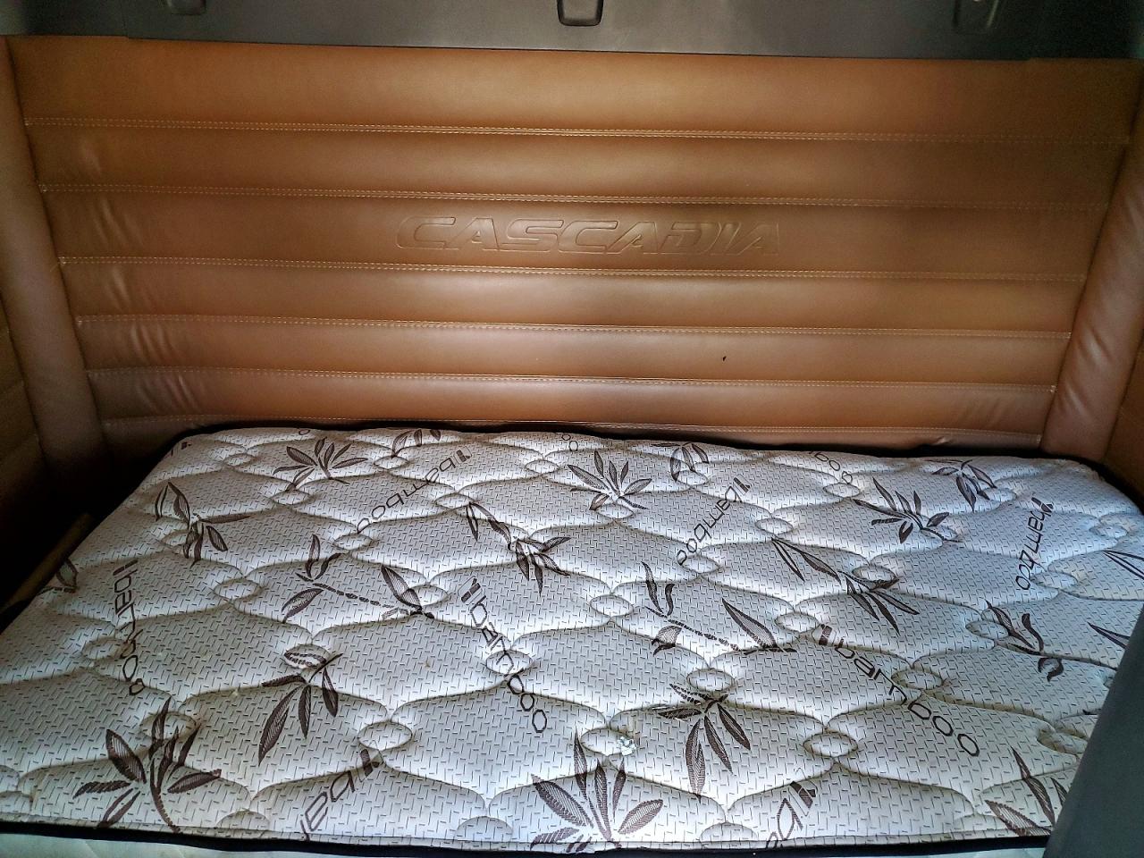 Freightliner Cascadia 125 Sleeper Cab"