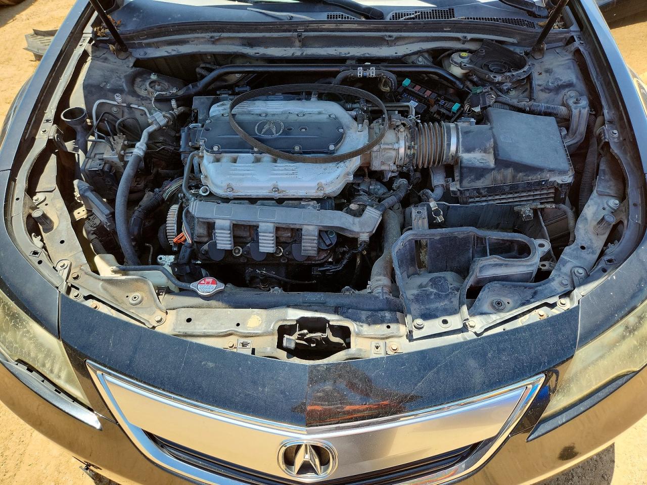 Acura TL Advance