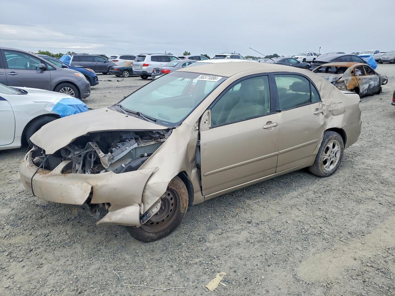 Salvage Toyota Corolla Image