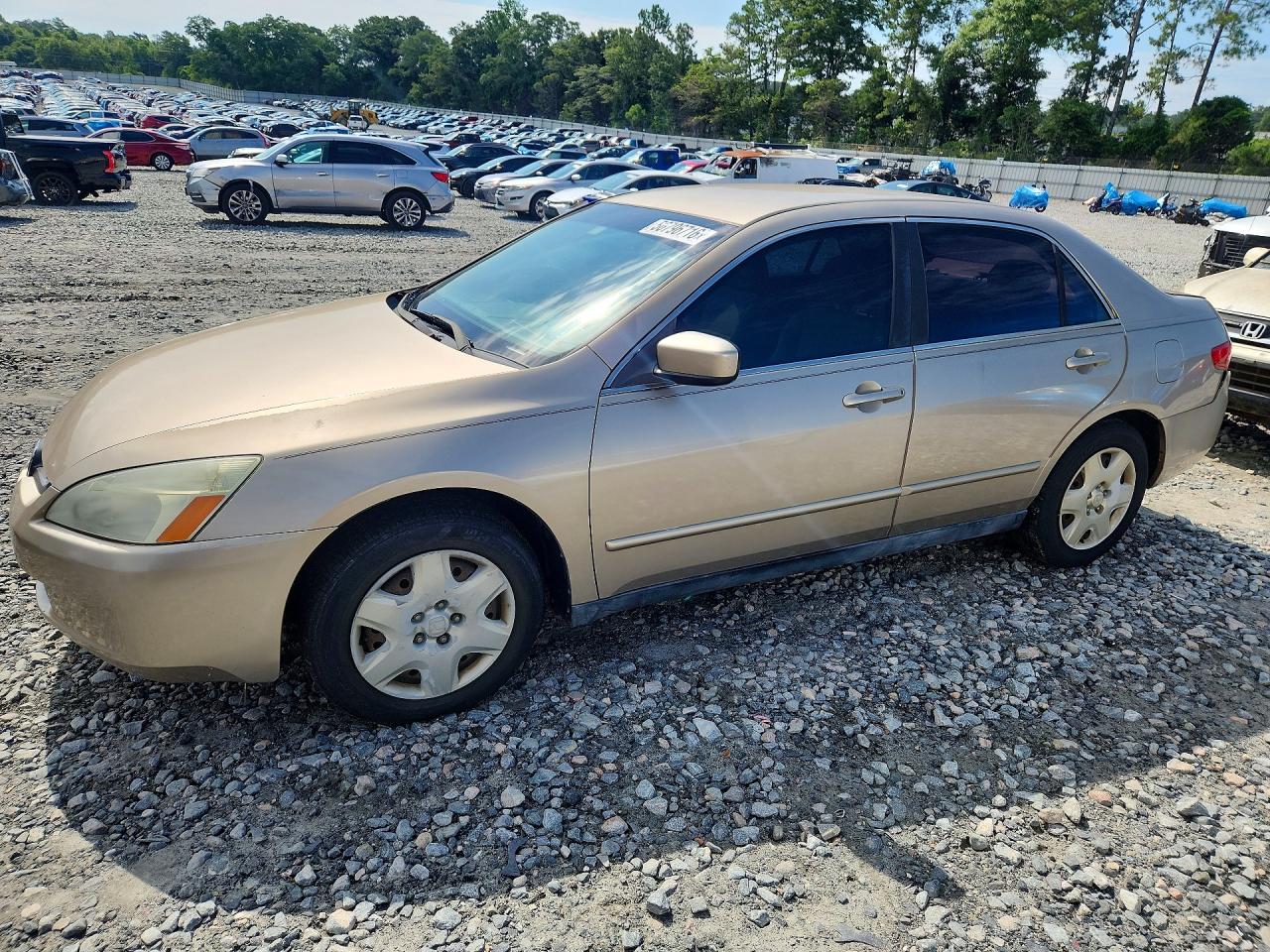 Salvage Honda Accord Image