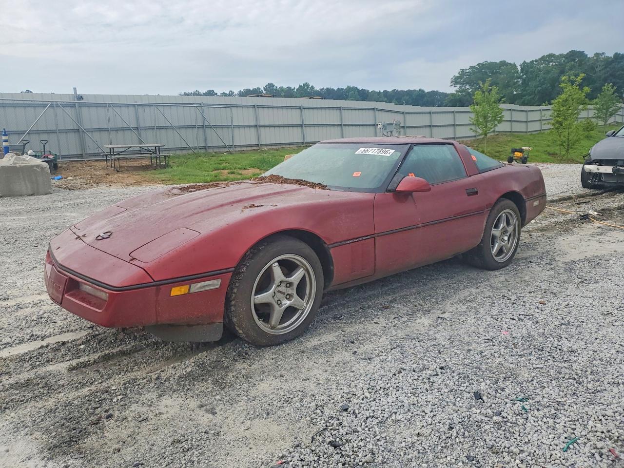 Salvage Chevrolet Corvette Image