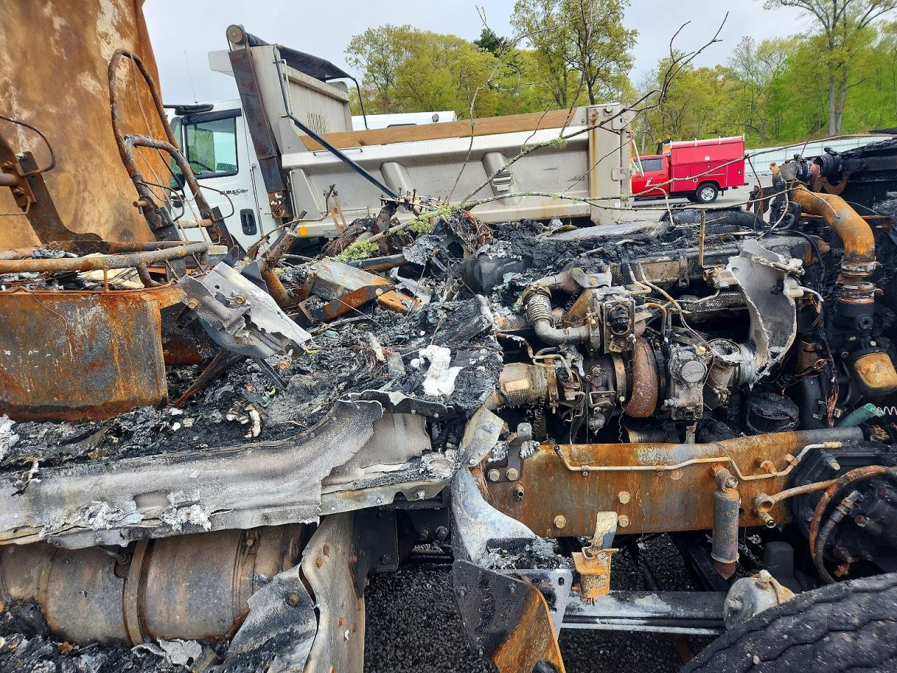 Peterbilt 567