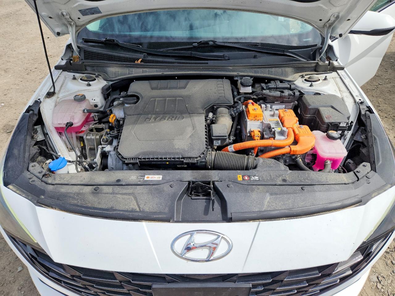 Hyundai ELANTRA Limited