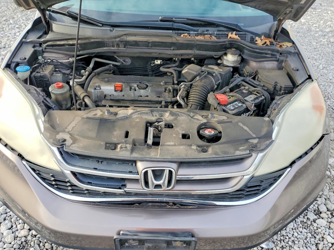 Honda Crv Exl