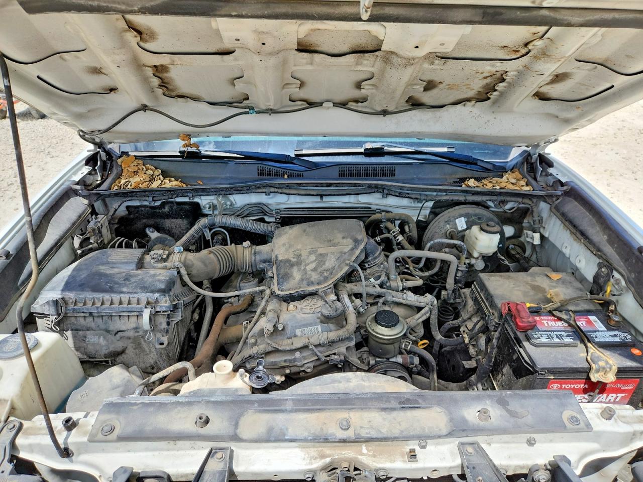 Toyota Tacoma Sr
