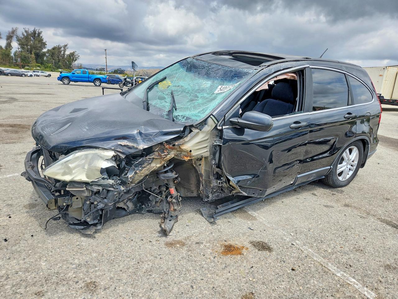 Salvage Honda Crv Image