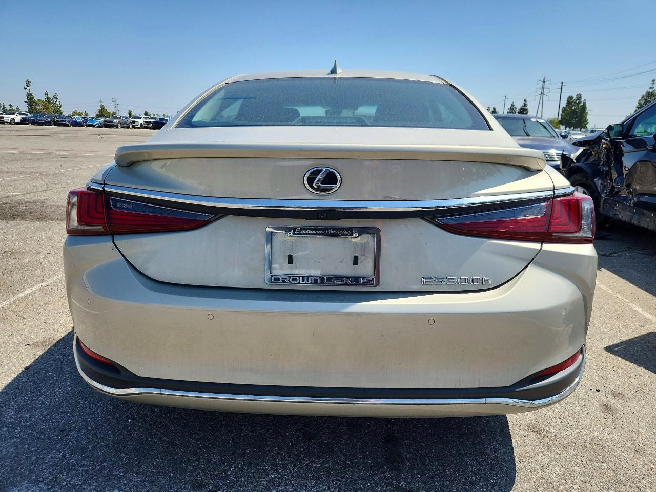 Lexus Es Base
