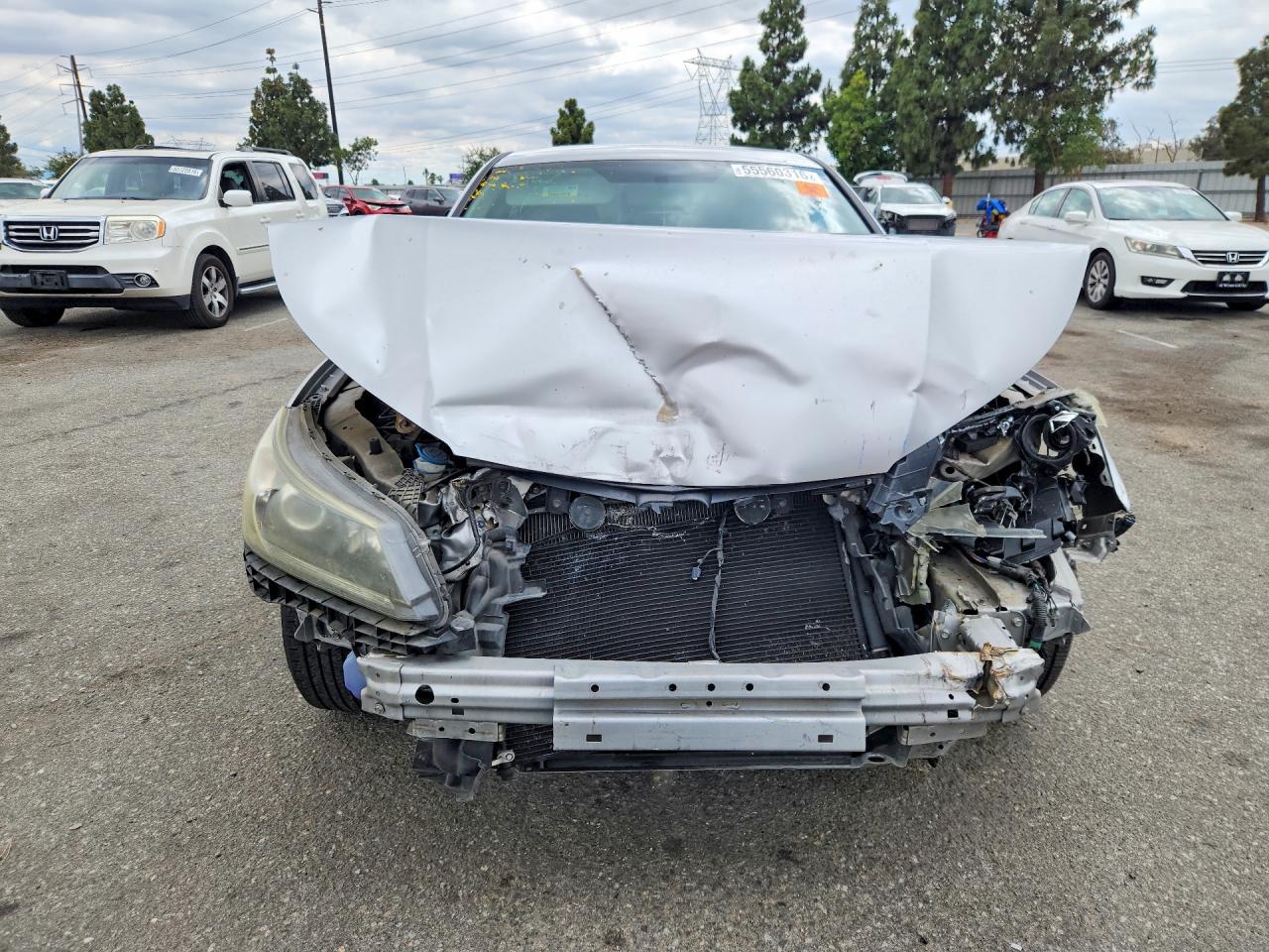 Honda Accord Lx