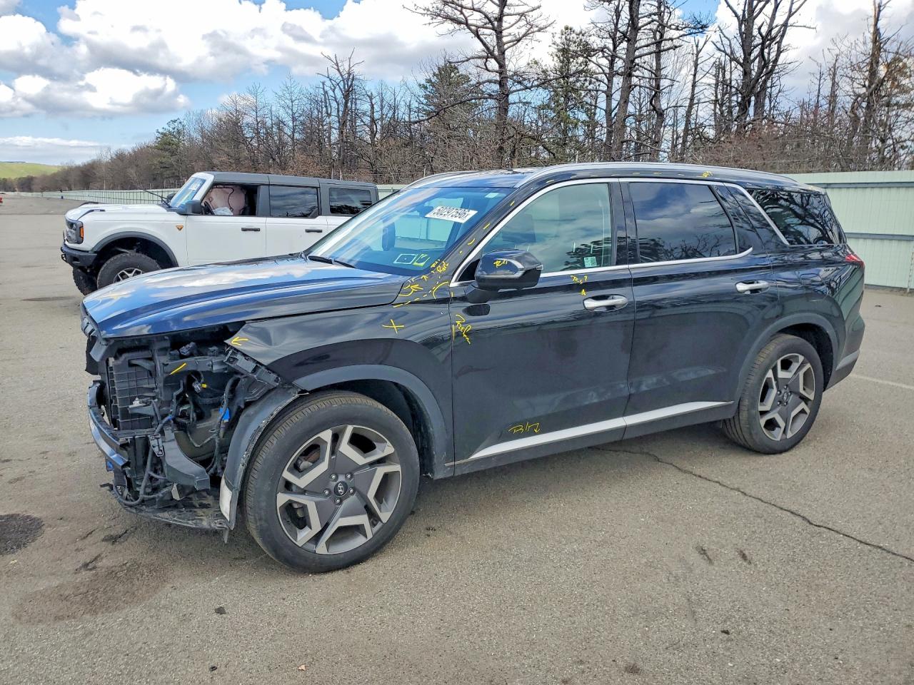 Salvage Hyundai PALISADE Image
