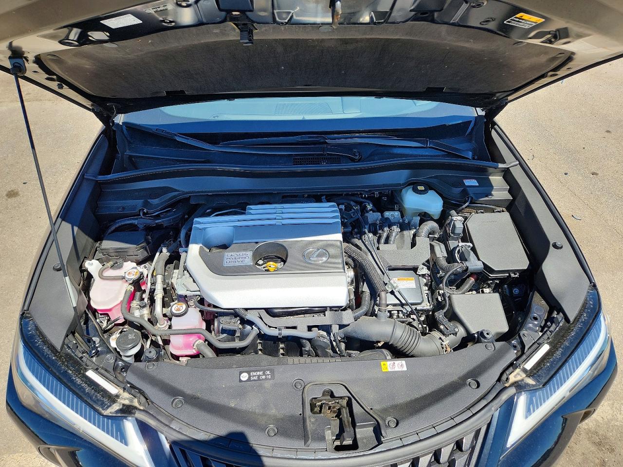 Lexus Other Base