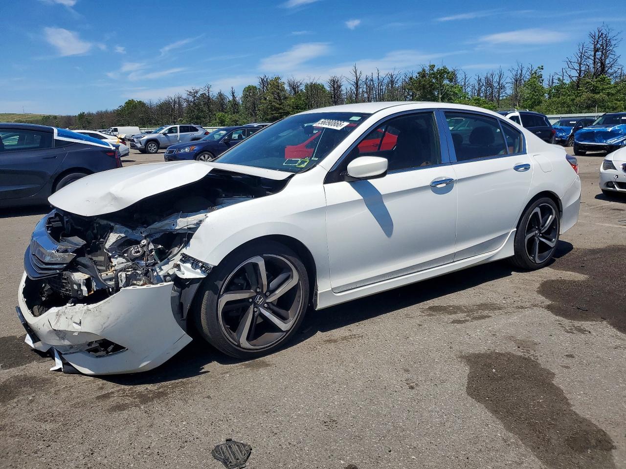 Salvage Honda Accord Image