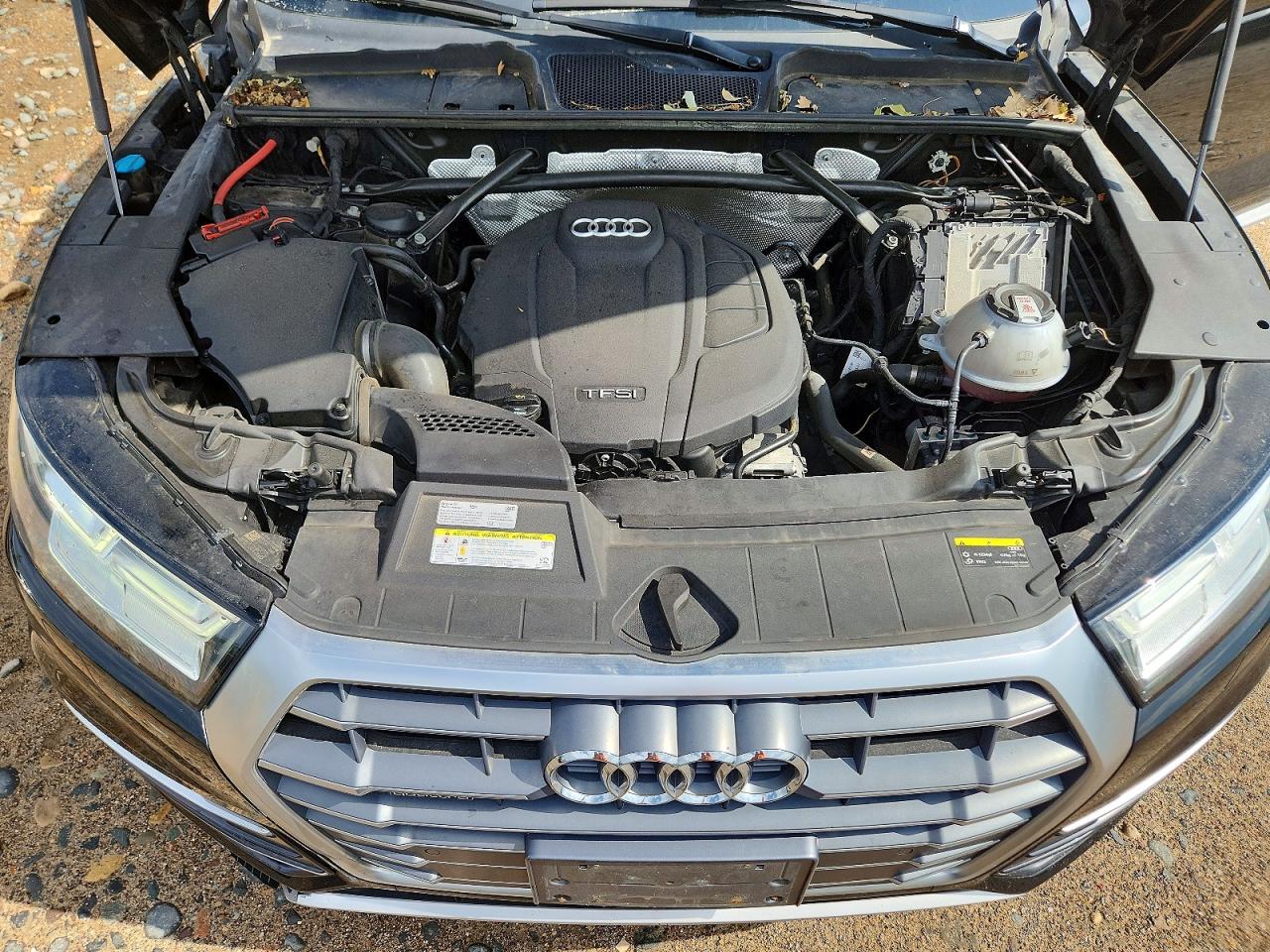 Audi Q5 Premium Plus