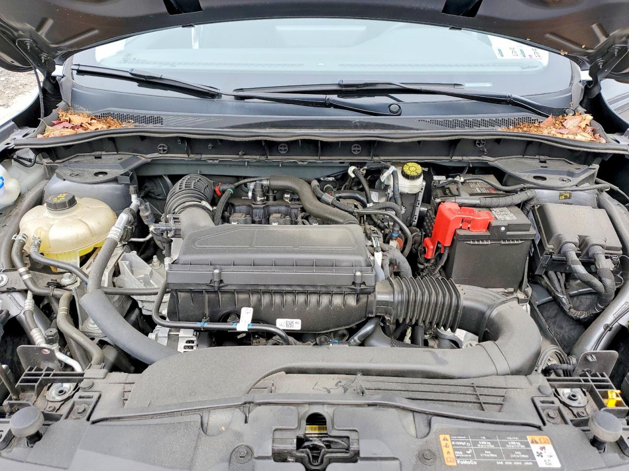 Ford Escape Active