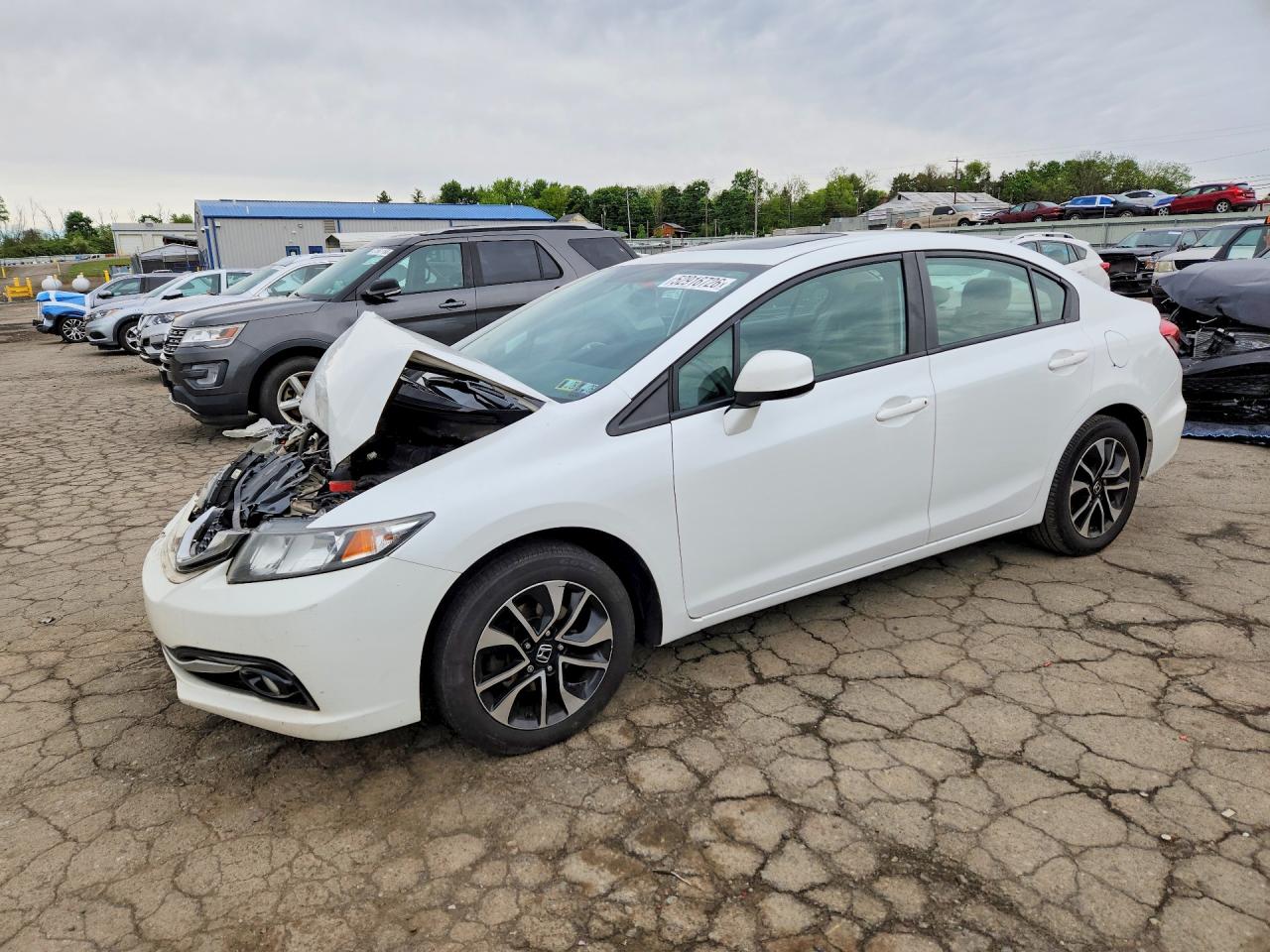 Salvage Honda Civic Image