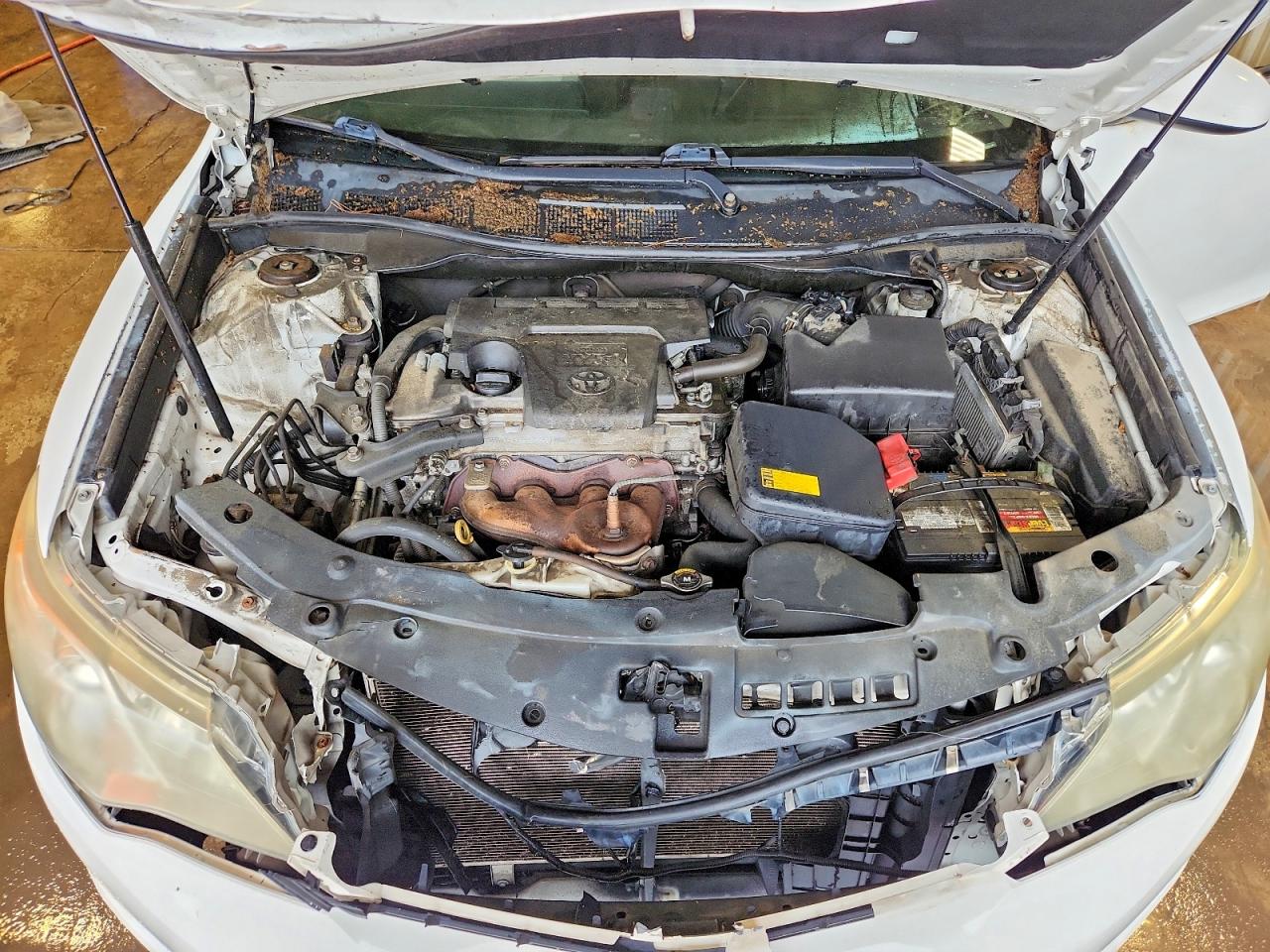 Toyota Camry Xle