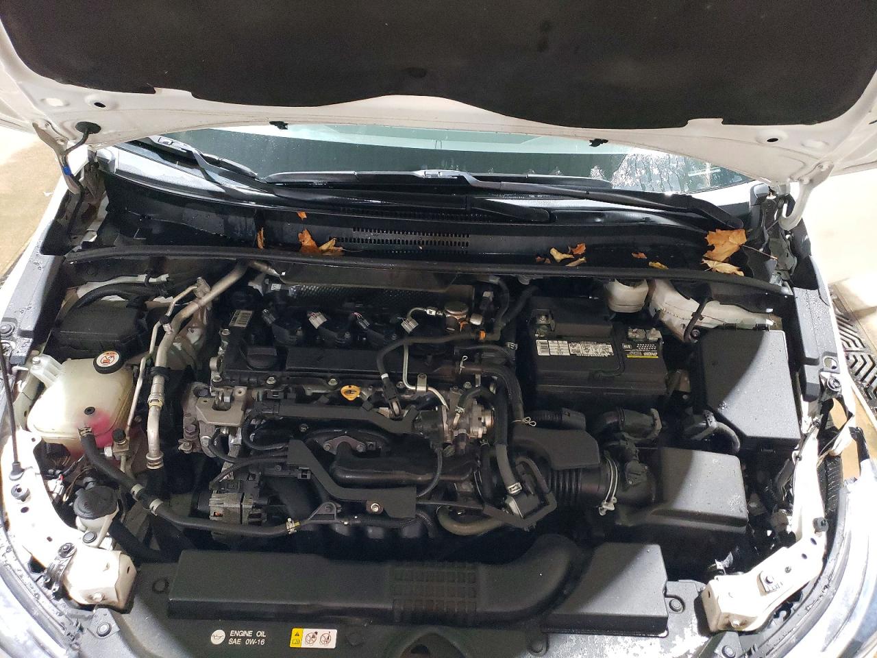 Toyota Corolla Xse
