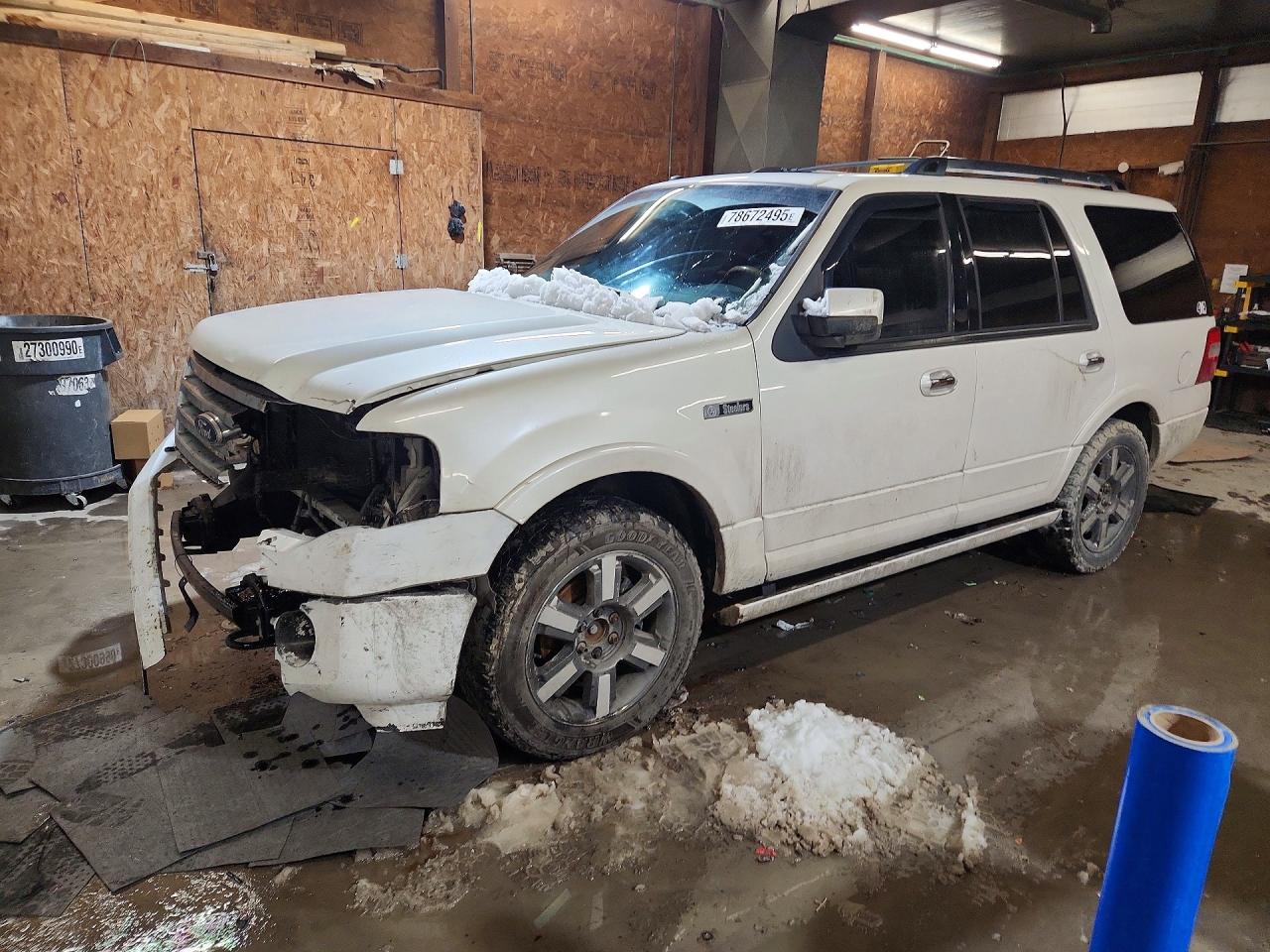 Salvage Ford Expedition Image