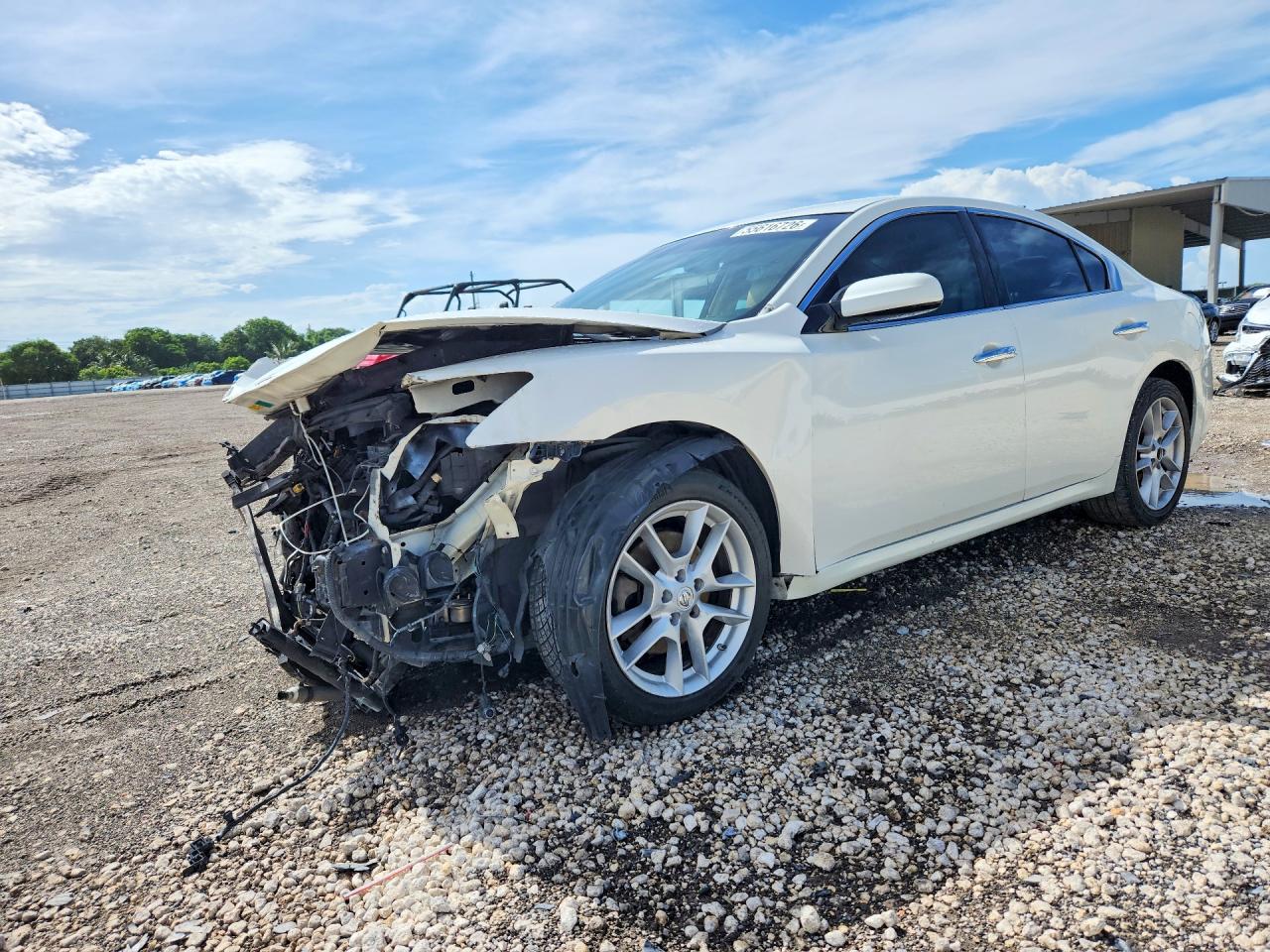 Salvage Nissan Maxima Image