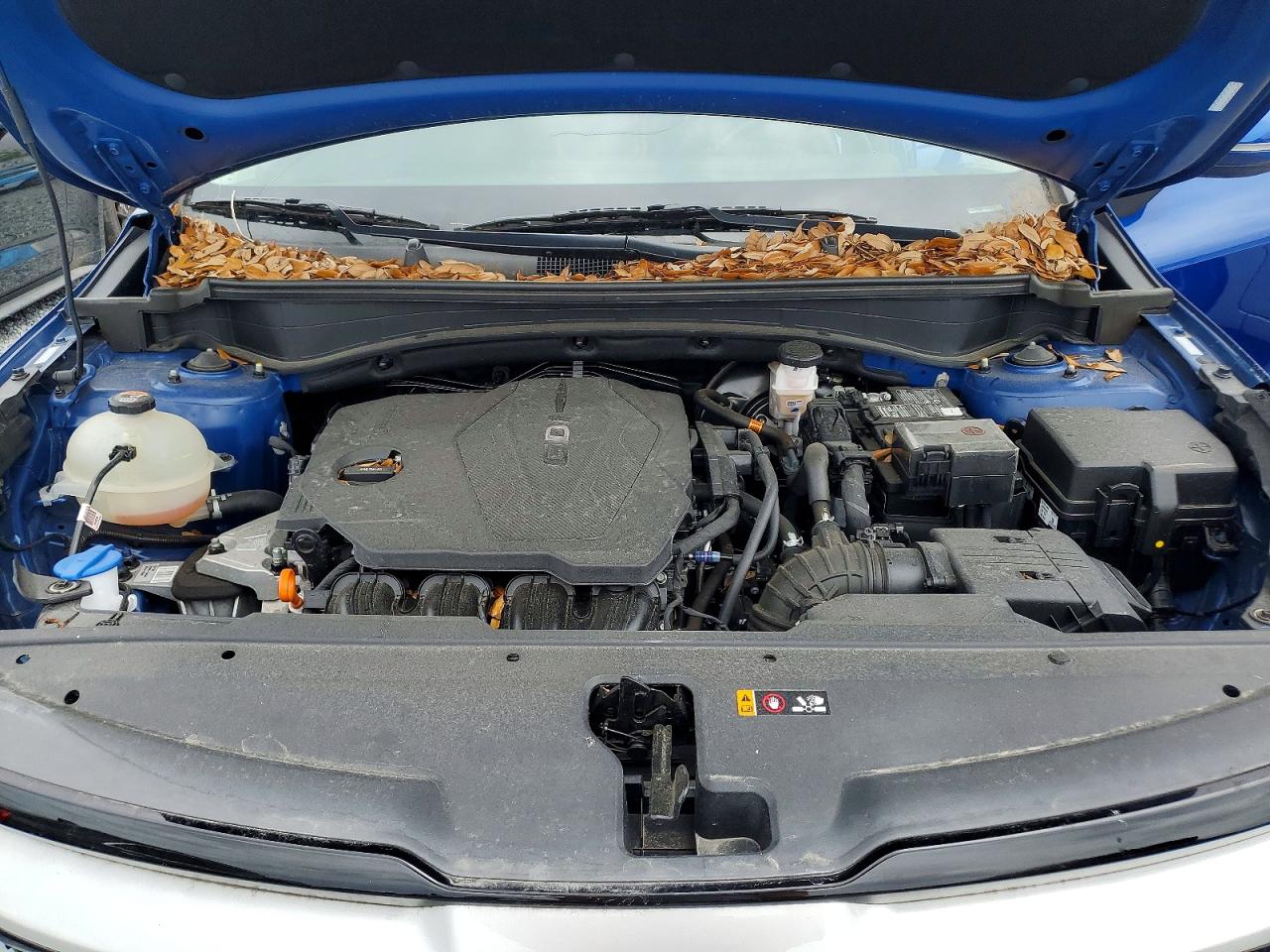 Kia Sportage Ex