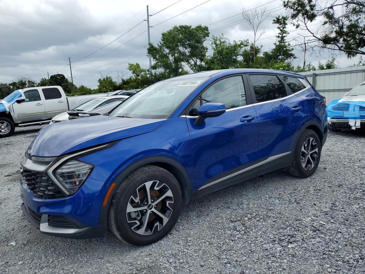 Salvage Kia Sportage Image
