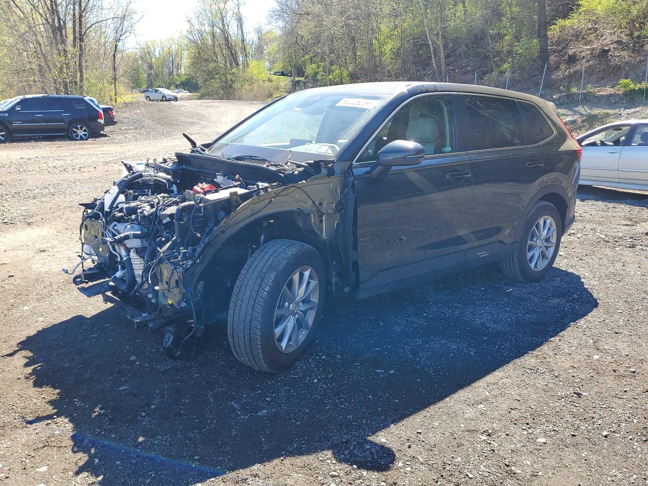 Salvage Honda Crv Image
