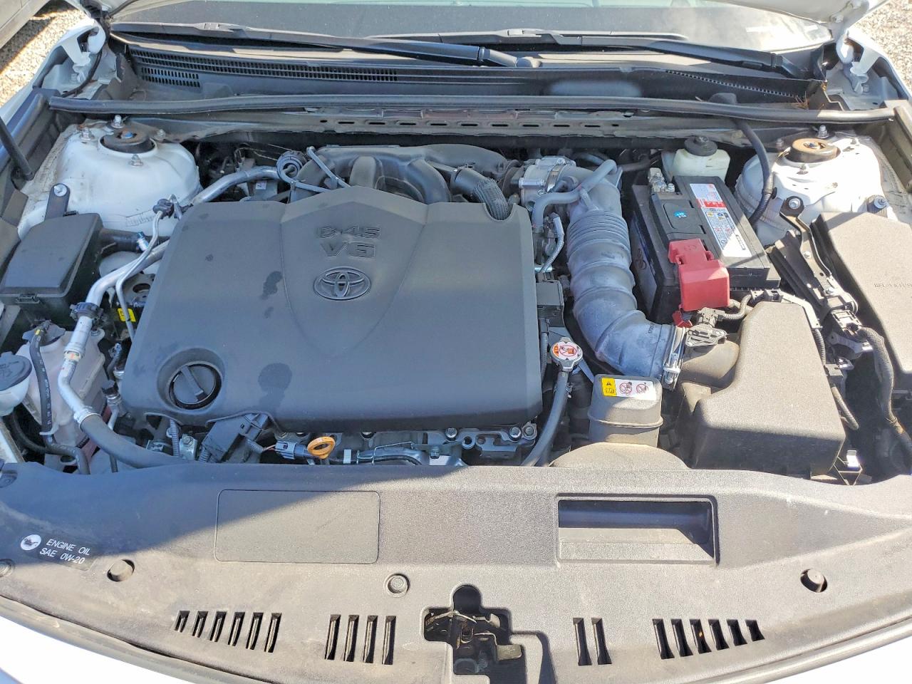 Toyota Camry Xle V6