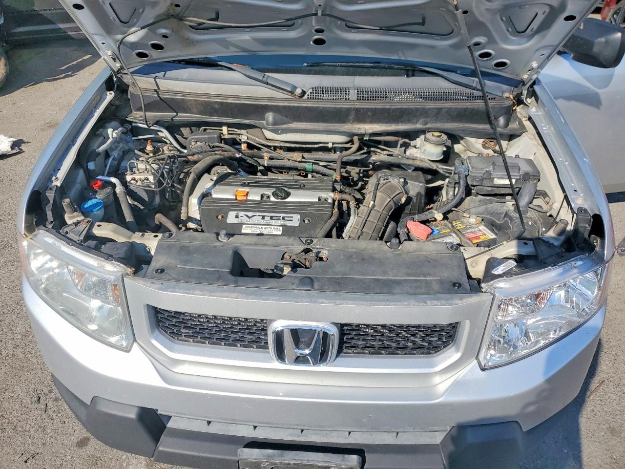 Honda Element Ex