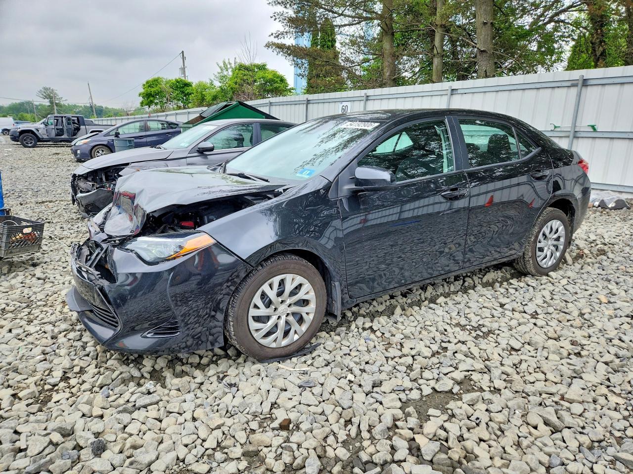 Salvage Toyota Corolla Image