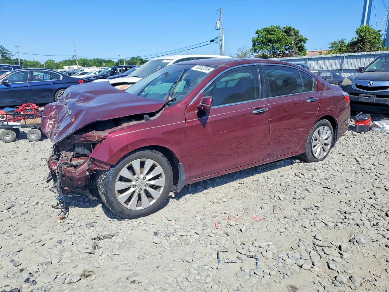 Salvage Honda Accord Image