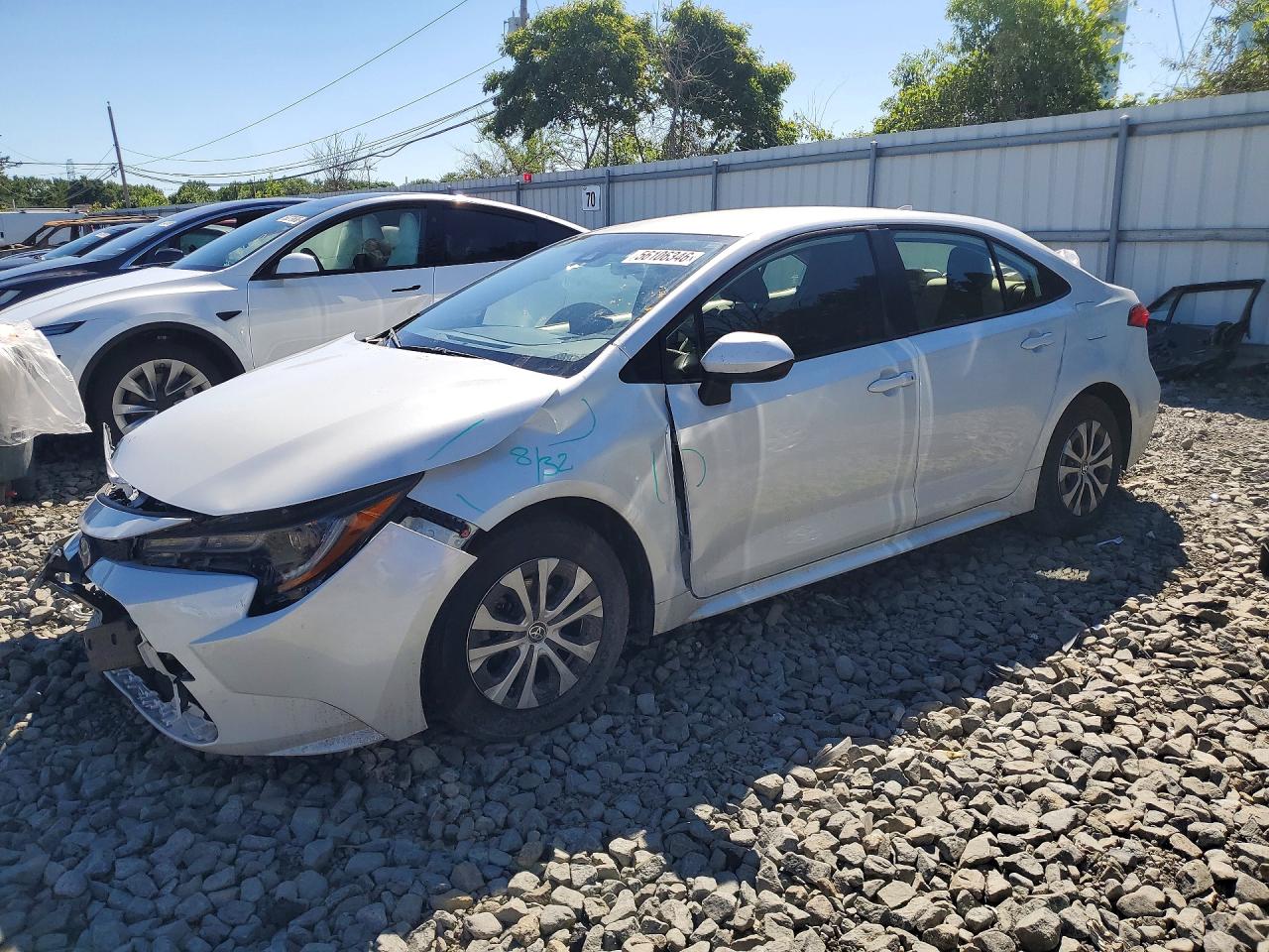 Salvage Toyota Corolla Image