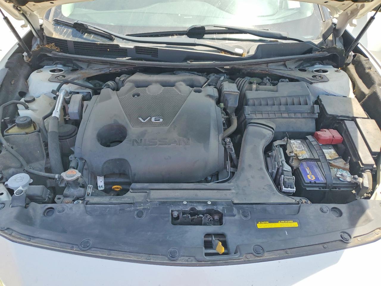 Nissan Maxima Platinum
