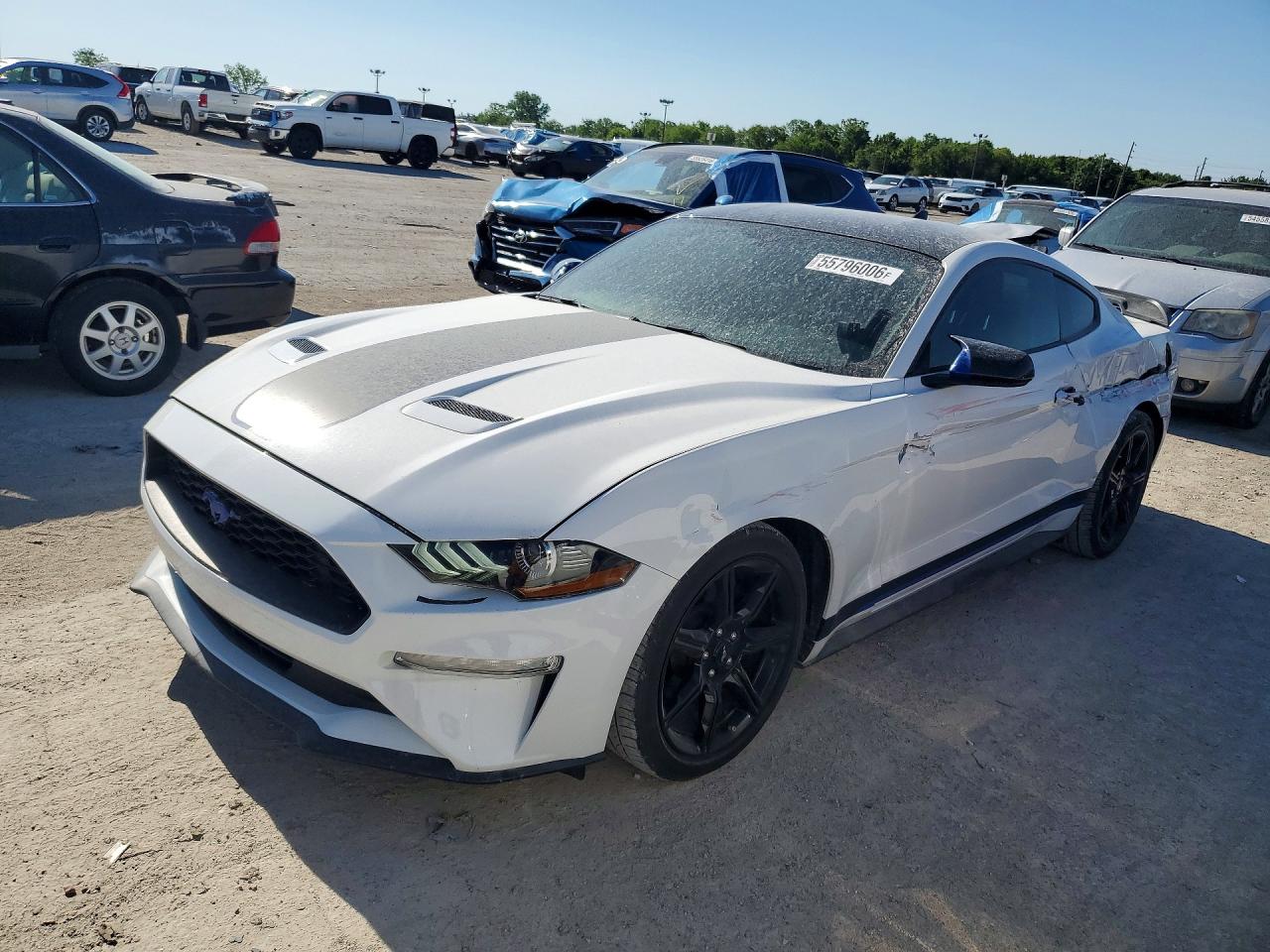 Salvage Ford Mustang Image