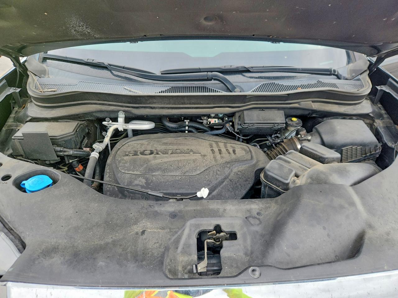 Honda Passport Exl