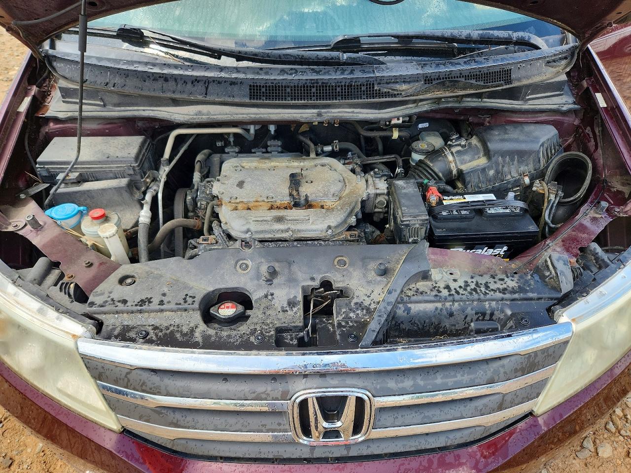 Honda Odyssey Exl